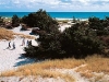 strand.jpg